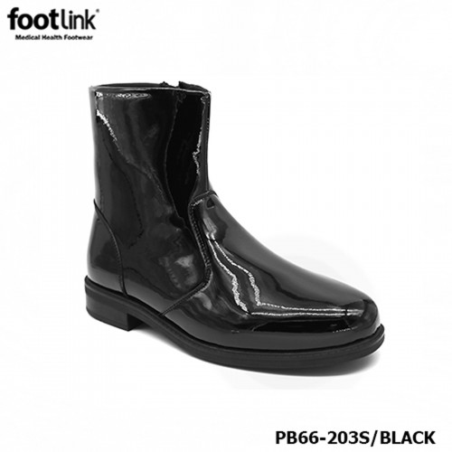 D203 Model PB 66-203S D203 Model PB 66-203S