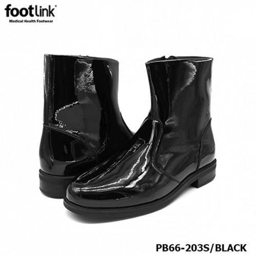 D203 Model PB 66-203S D203 Model PB 66-203S